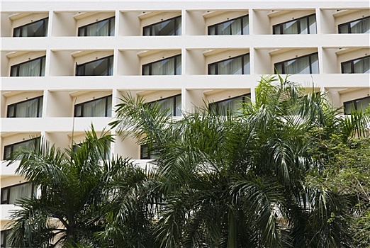 xs hai phong
