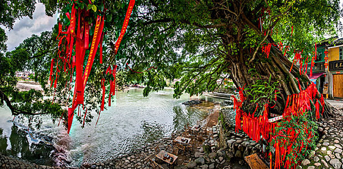 cầu bach thủ