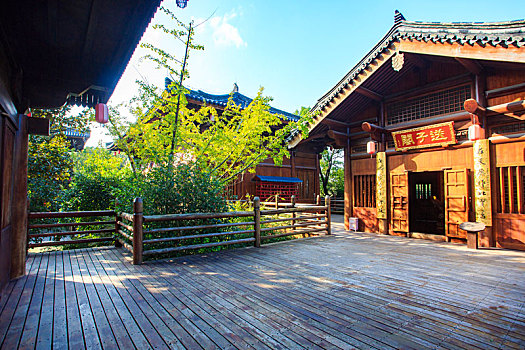 bạch thủ đề ngày hôm nay