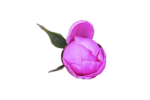 xổ số cần thơ tuần rồi