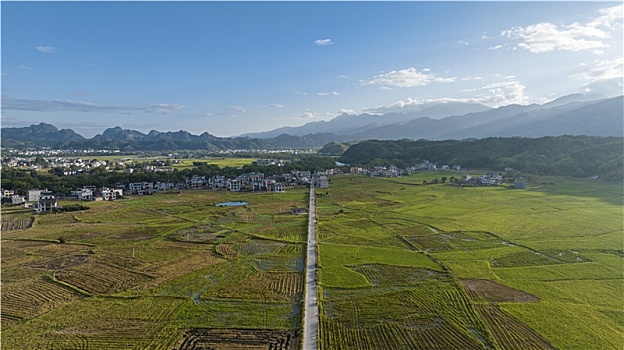 soi cầu bạch thủ lô hôm nay