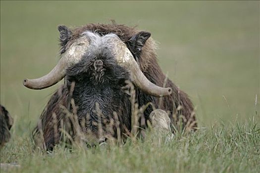 cách đánh đề đầu đuôi
