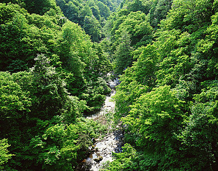 188bet cho di dong