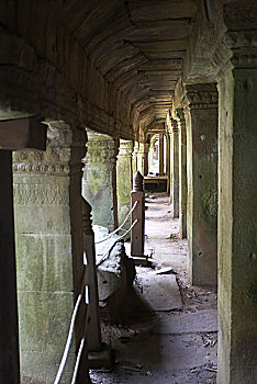 soi cau lo de