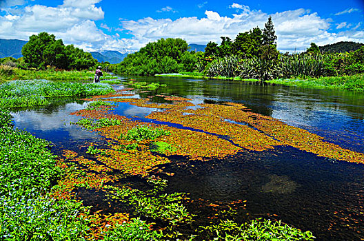 bạch thủ lô ngày mai