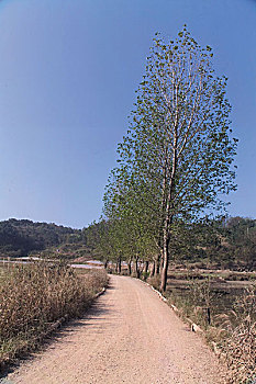dự đoán xỉu chủ miền bắc
