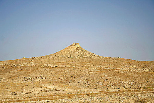 cau bach thu