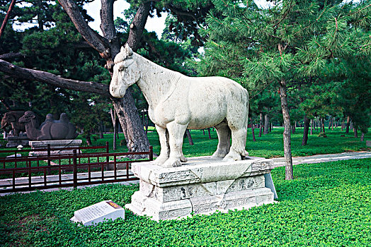 hội lô đề miền bắc