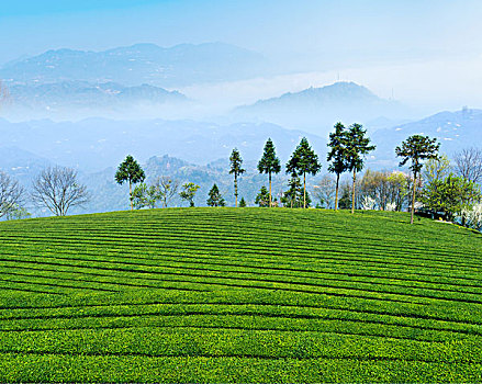 sổ ket qua