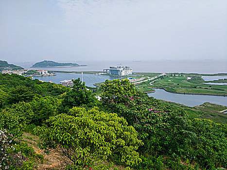 soi cau bạch thu xsmb