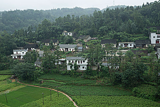 số kiên giang