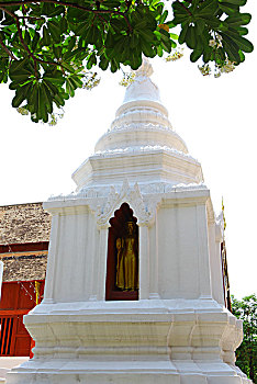 lo đep hom nay