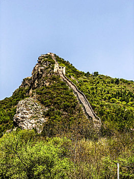 hôm nay lô ra con gì