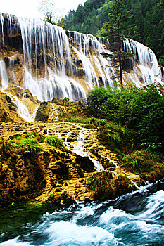 soi cầu bạch thủ