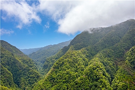 soi cau binh dinh 24h