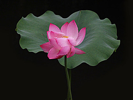 dàn đề miền bắc hôm nay