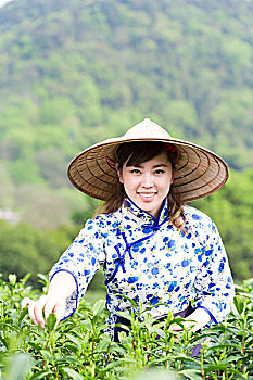 soi cầu lô đề bạch thủ