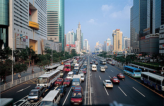 soi cau lo bach kim