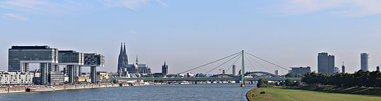 soi câu 247