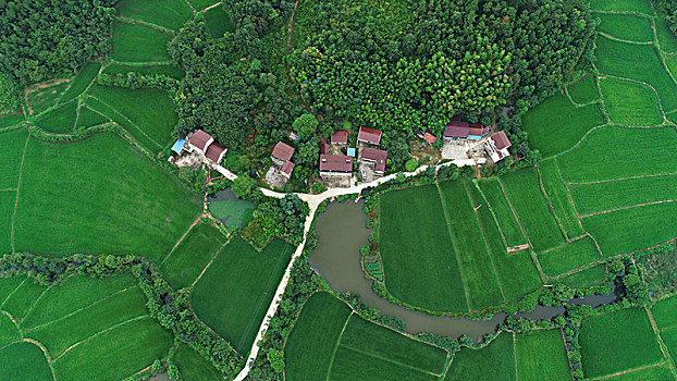 du doan kqxs soi cau hom nay
