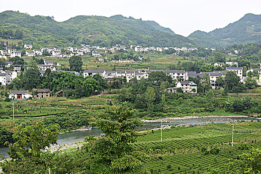 soi cầu đại lộc