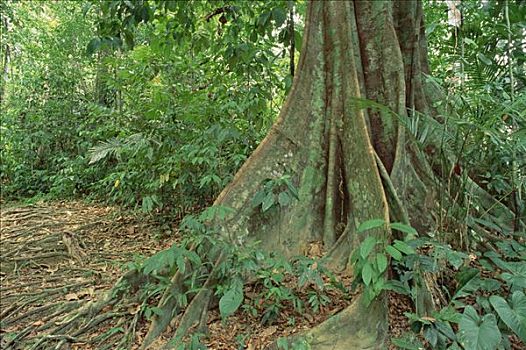 dự đoán kết quả miền bắc hôm nay