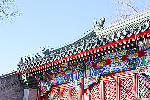số xo