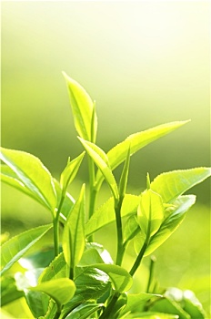 kết quả xổ số 30