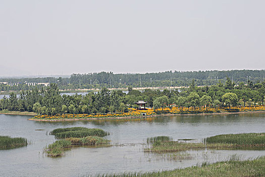 bach thu lo hom nay