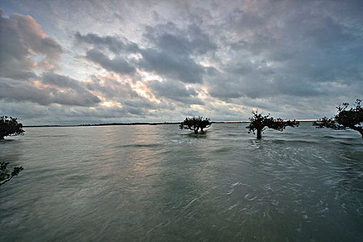 dàn đề 10 số