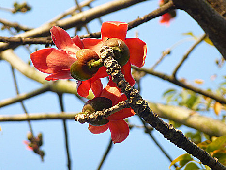 xs binh đinh