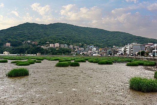xổ số long an tuần trước