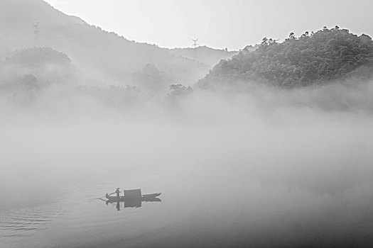 bach kim lo de