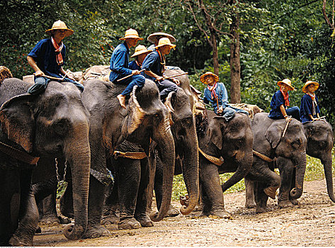 dự đoán