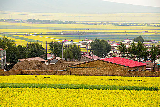 soi cau 2888