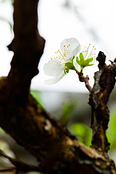 dự đoán kết quả xổ số bình định