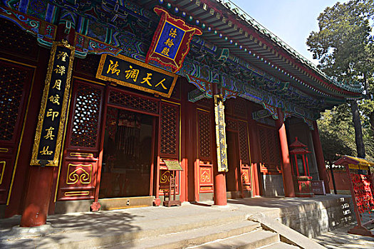 soi cau rong bach kim hom nay