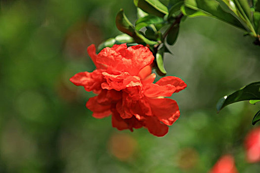 xổ số minh ngọc nhanh nhất