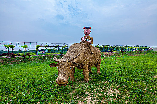 du doan chinh xac 100