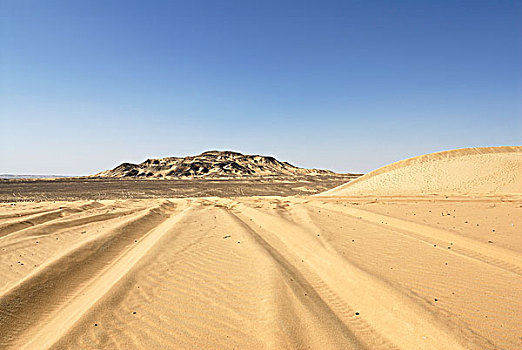 caothuchotso