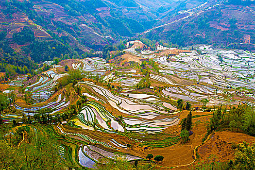 đánh lô trên mạng