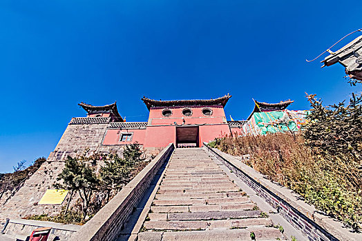 lo bach thu khung 3 ngay 368