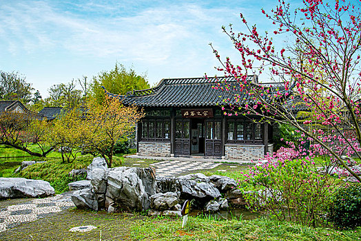 dự đoán đề hôm nay