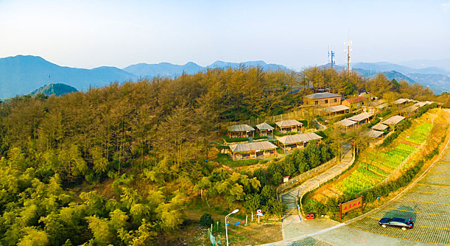 bạch thủ lô tô