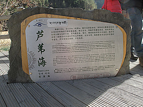 dự đoán xsmb hom nay