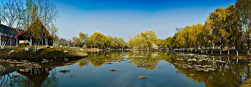 bạch thủ thành phố