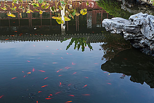 thống kê xổ số khánh hòa