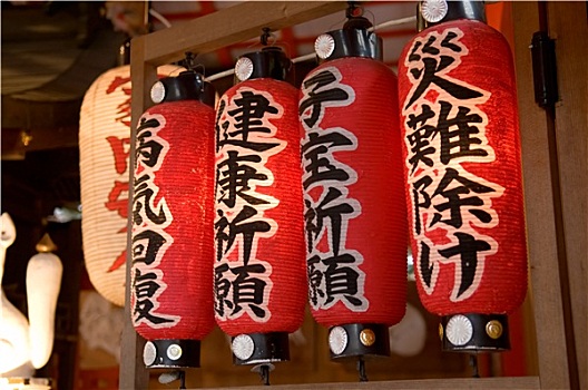 dự đoán wap