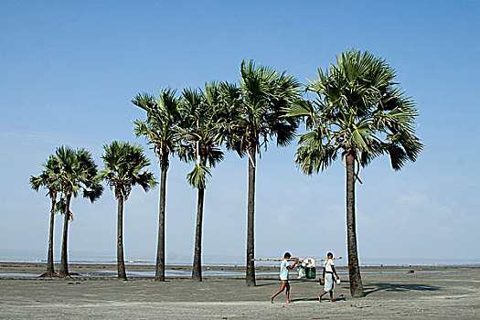soi cau mb chinh xac