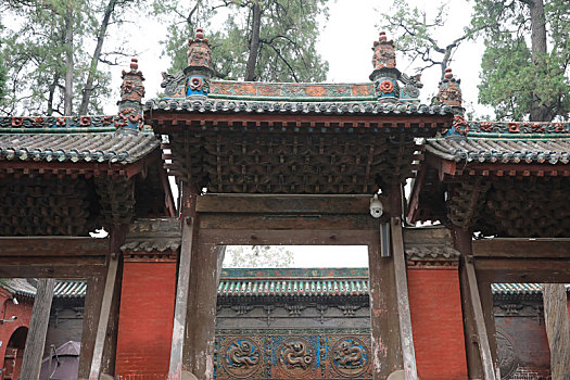 rong bach kim 888